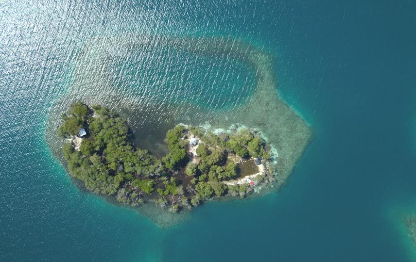 1-Acre Private Island near Riversdale, Placencia image