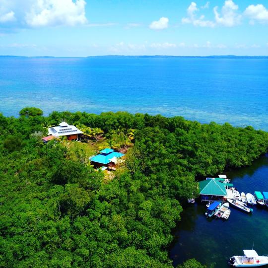 Colibri Island image