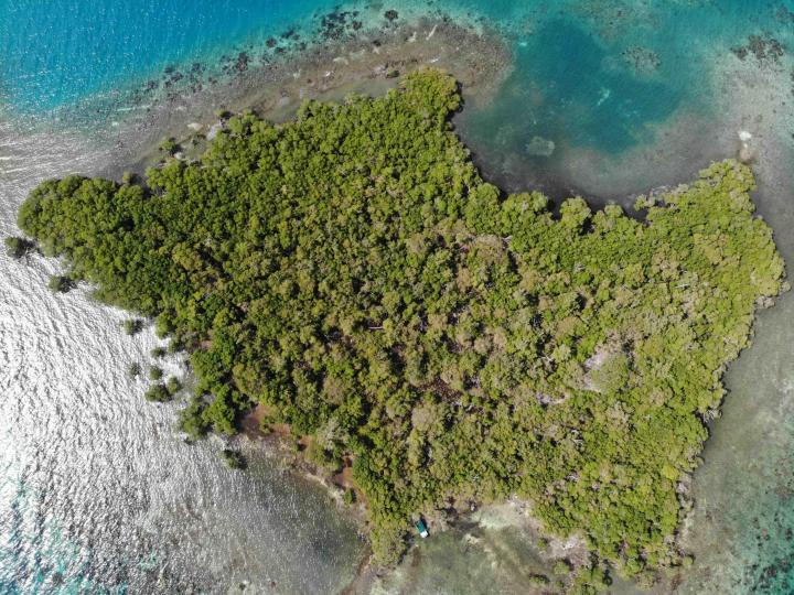 Loggerhead Caye image