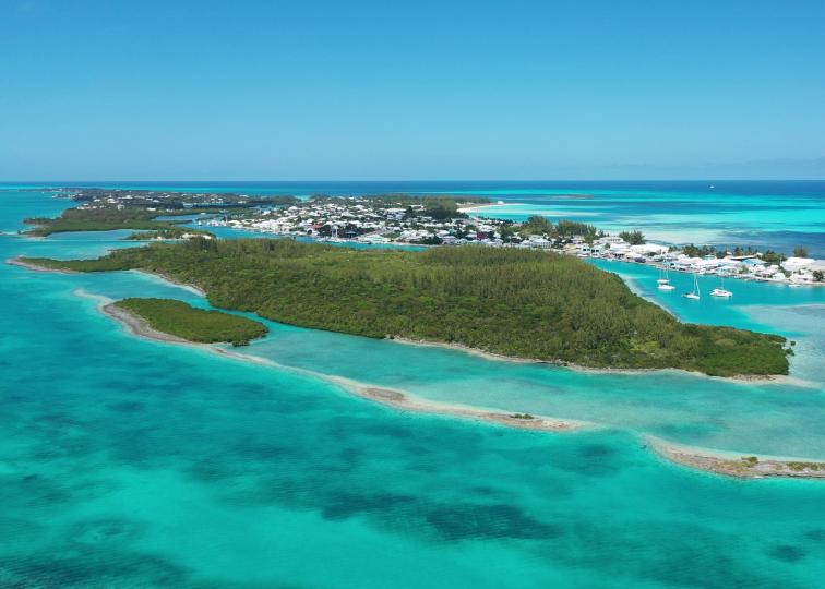 Charles Island image