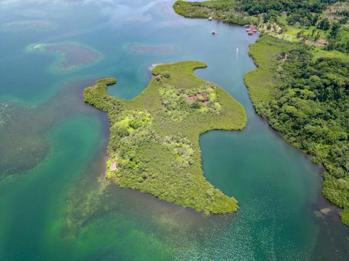 9.3-acre Private Island near Bocas image