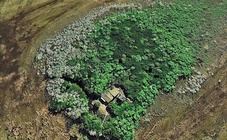 Everglades Escape image