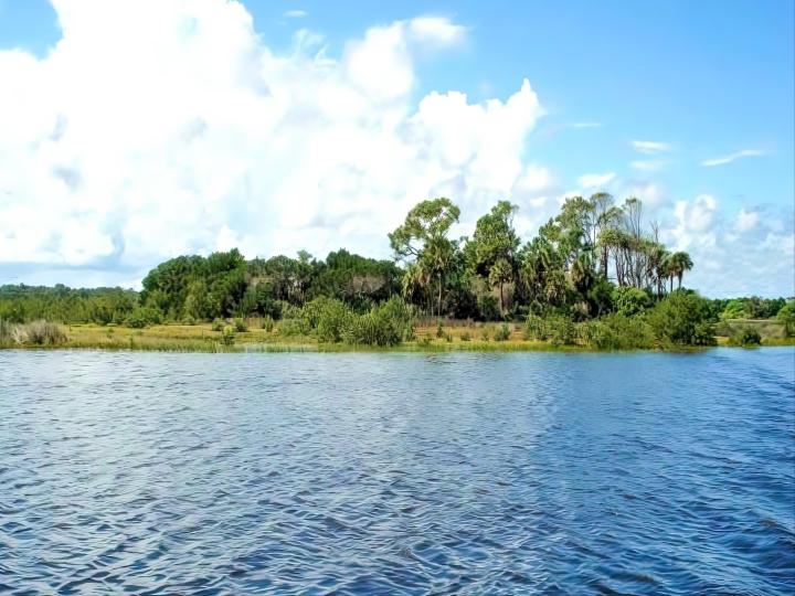 Ormond By the Sea image