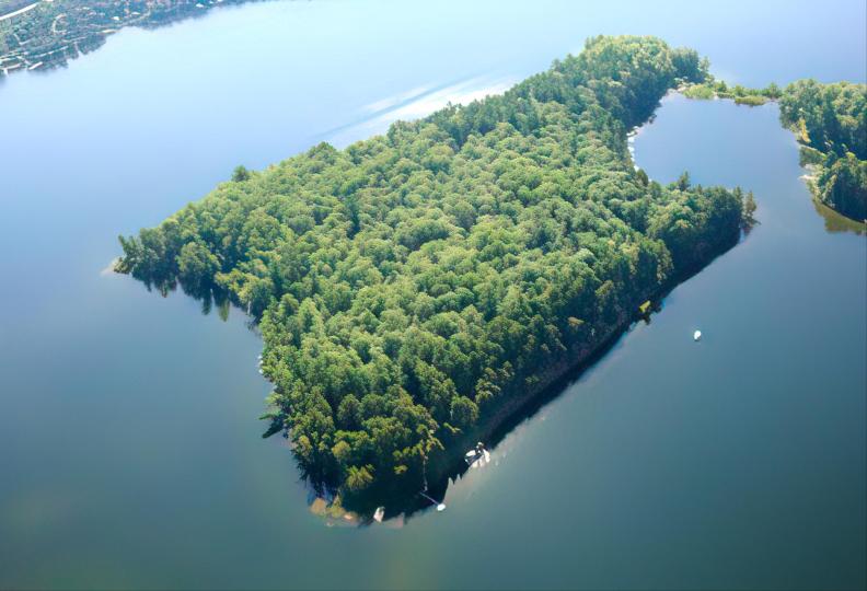 Big Island Retreat image