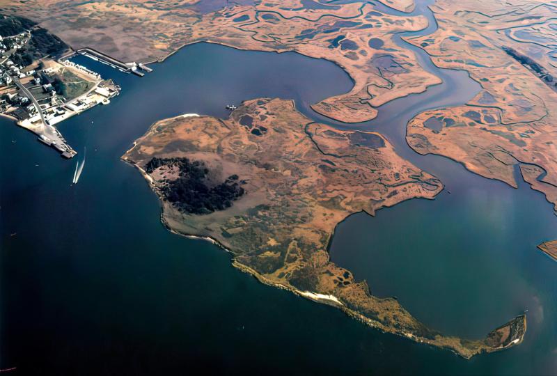 Starlings Island image