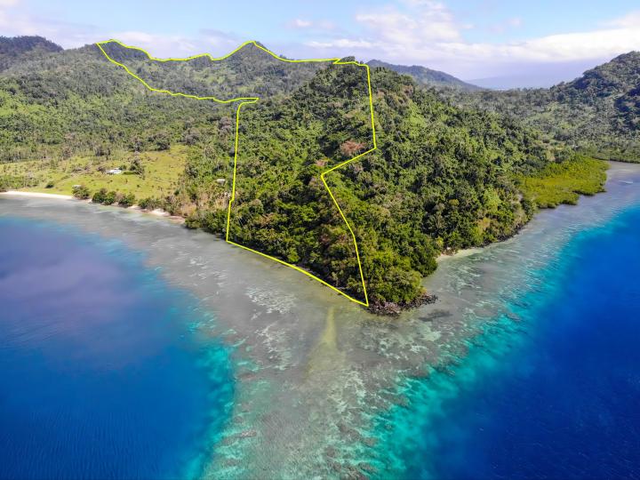 Niubavu, Qamea Island image