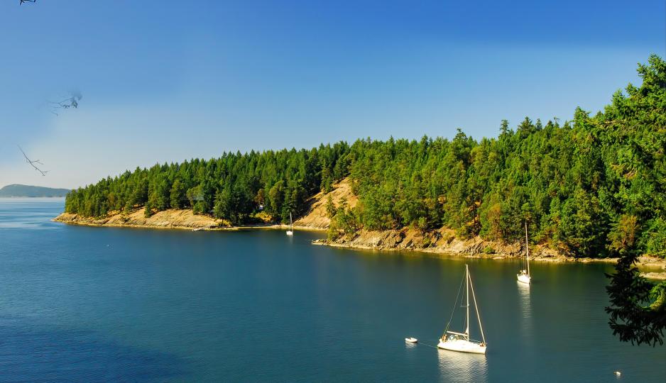 Prevost Island Lots image