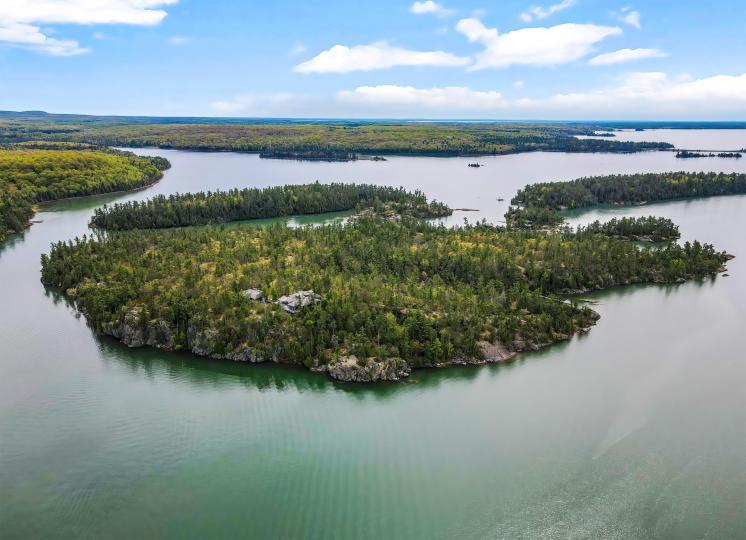 Picture Island image