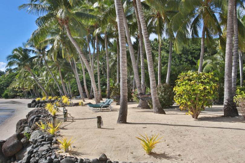 Wananavu Beach Resort image