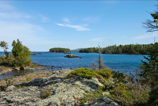 Bearberry Island image