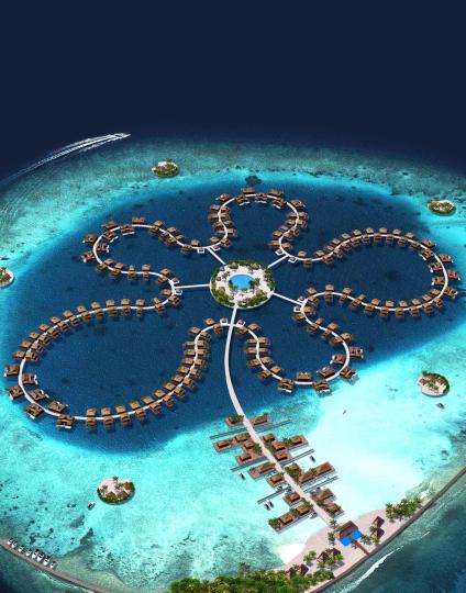 The Ocean Flower image