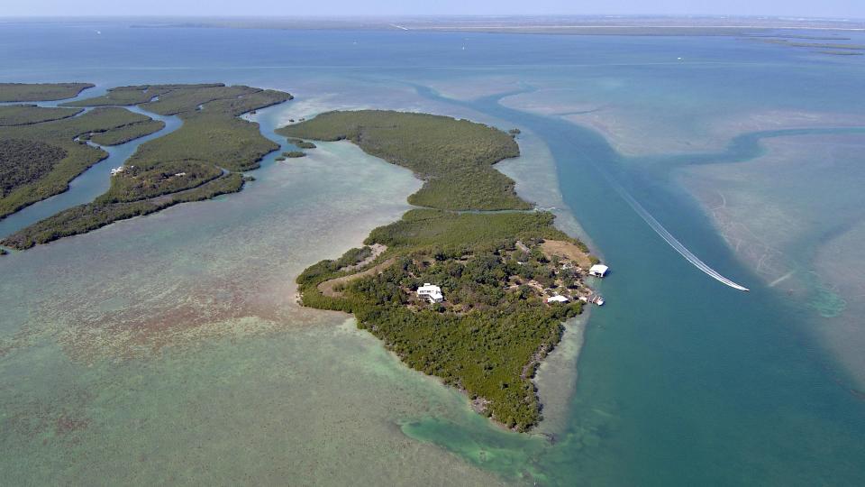 Broad Key image