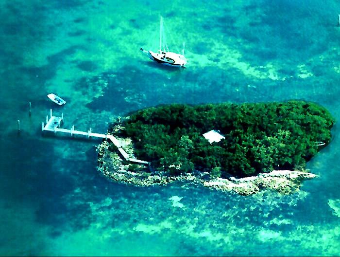 Dolphin Jump Key image