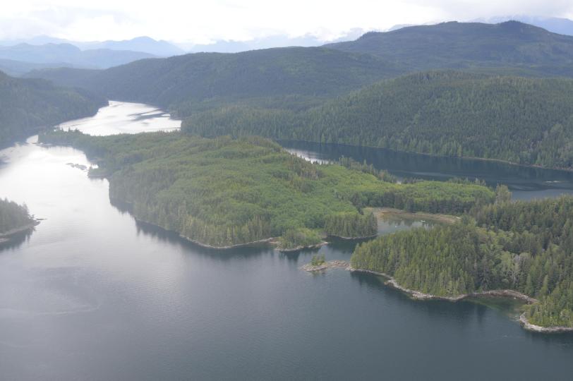 Farquharson Island image
