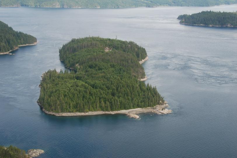 Turn Island image